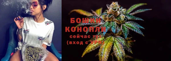 соль курить ск Новозыбков