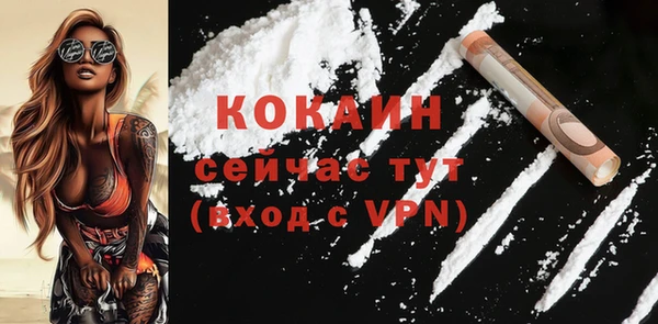 соль курить ск Новозыбков
