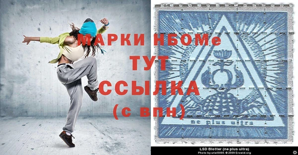 крисы Новокубанск