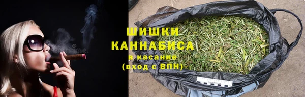 шишки Нефтекумск