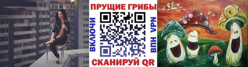 Псилоцибиновые грибы Psilocybine cubensis  хочу   Шелехов 